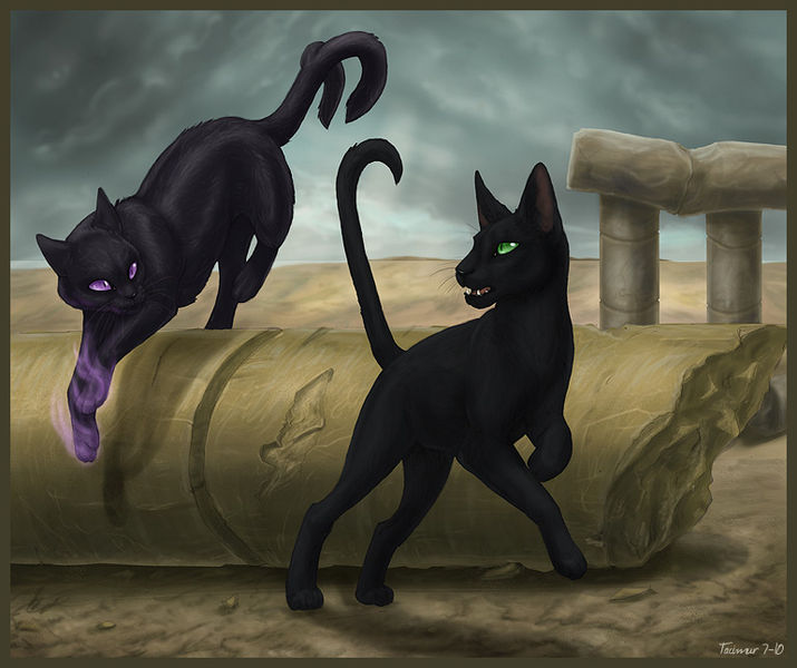 Datei:Of two worlds by tacimur.jpg
